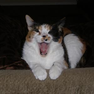 Meet your Posher, Judy